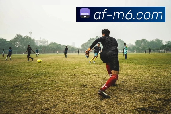 M6体育注册APP 封面图